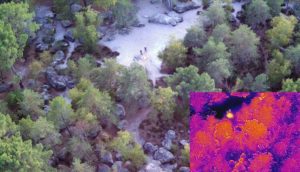 Vue du ciel de la forêt de Fontainebleau et de ses points chauds selon la caméra thermique embarquée dans le drone.