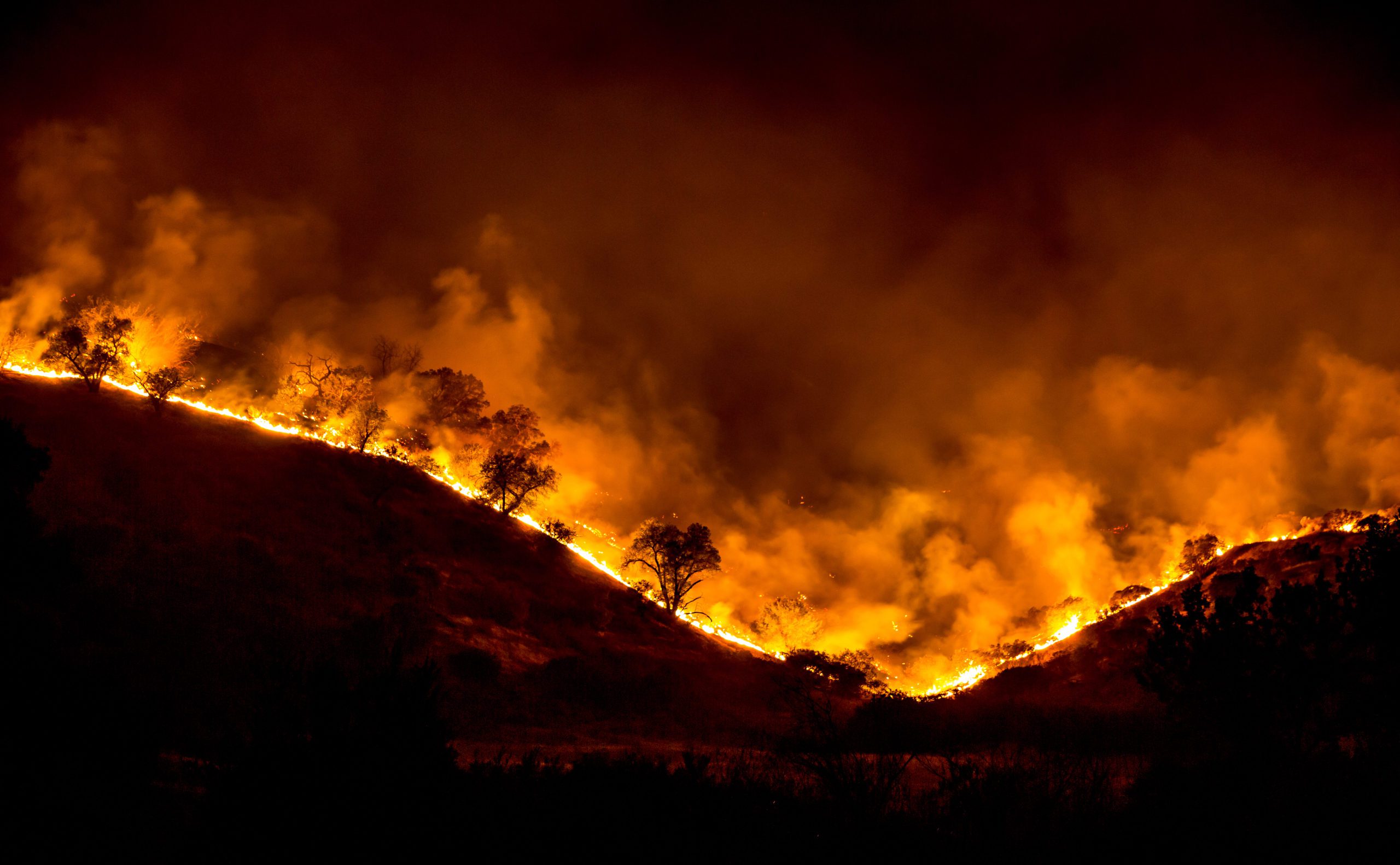 terribles-incendies-en-californie-l-ete-dernier.