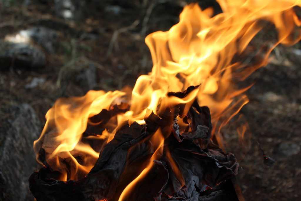 le-docteur-serge-bourbigot-etudie-les-comportements-du-feu