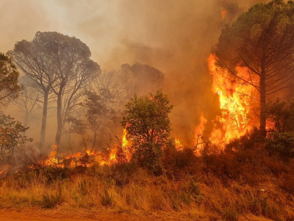 cet-ete-7000-hectares-ont-brule-dans-le-var