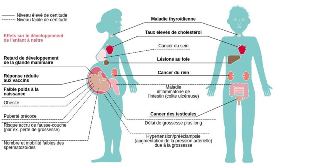 effets-compares-sur-la-sante-d-un-homme-et-d-une-femme-de-l-exposition-aux-substances-per-et-polyfluoroalkylees