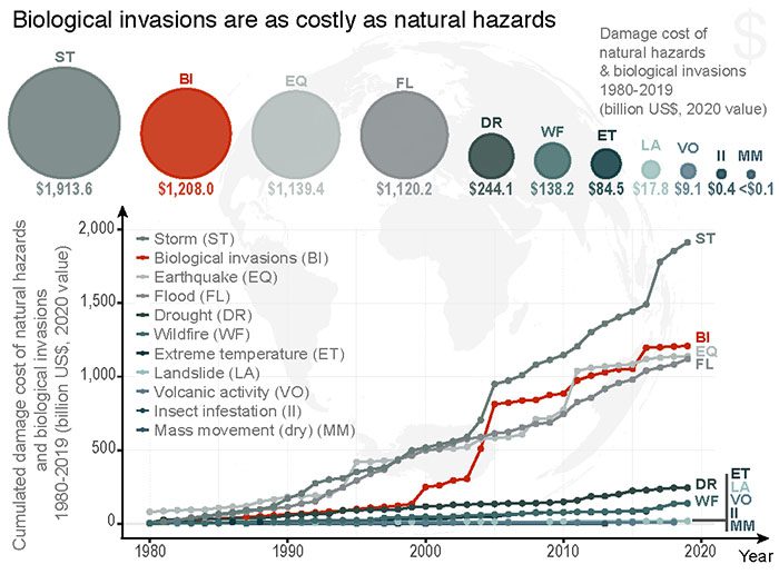 couts-engendres-par-les-invasions-biologiques-et-catastrophes-naturelles