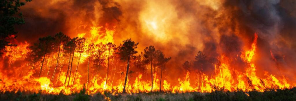 avec-19711-incendie-72000-hectares-de-bois-cultures-et-espaces-naturels-sont-partis-en-fumee-dans-90-departements-en-france-en-2022