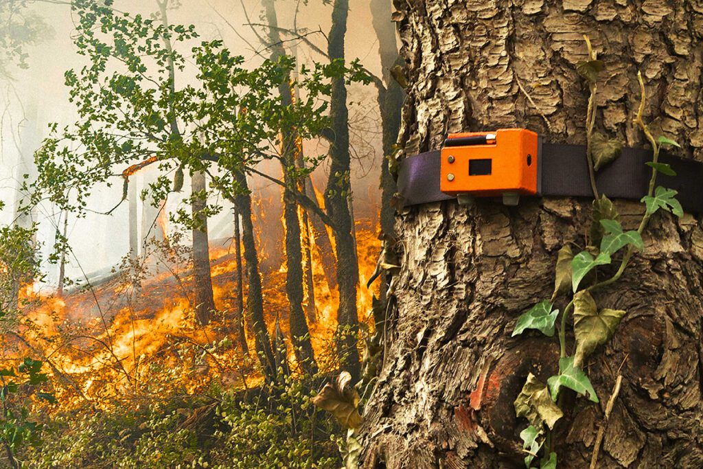 forestguard-detecte-les-pics-de-co2-et-de-temperature