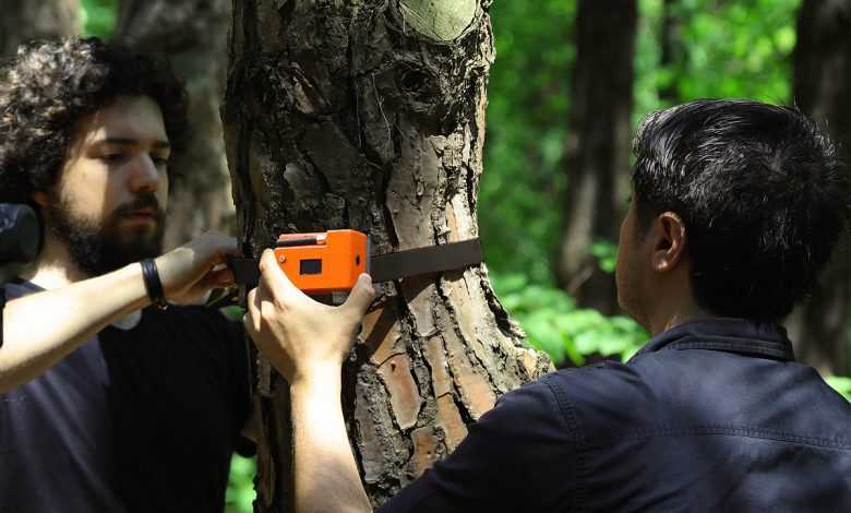 Un détecteur de fumée à accrocher aux arbres pour prévenir les feux de forêt