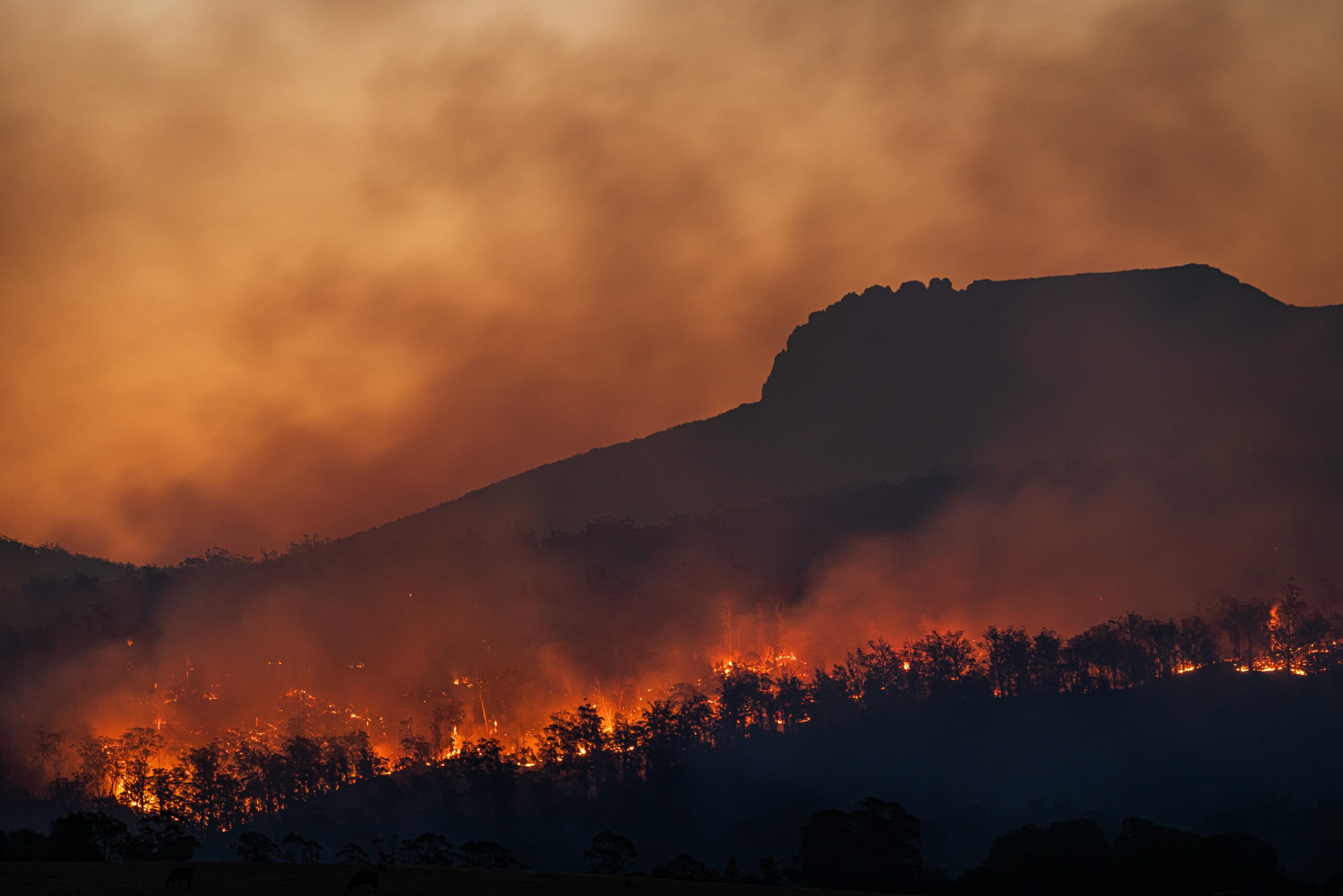 Réchauffement climatique : le Lancet Countdown tire la sonnette d’alarme